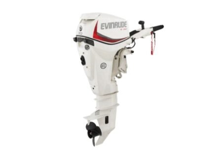 Evinrude E30DPGL E-TEC Outboard Motor