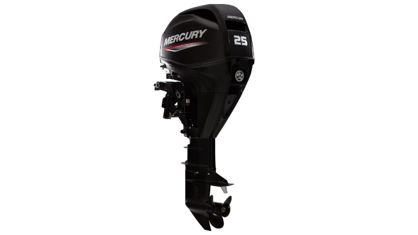 Mercury-25EL-FourStroke.jpg